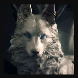 hormorwhunmi