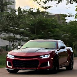 zorazora422