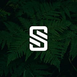 shani_designssl