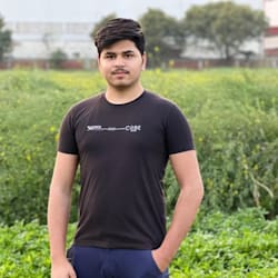 anujsh071