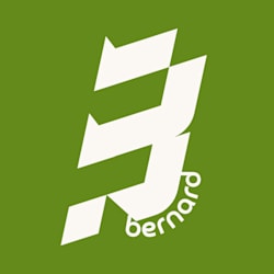 bern_brave