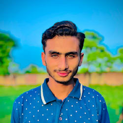 gulfamshaukat