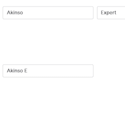 akinso_expert23