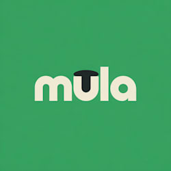 mubarak_motion