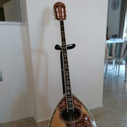 fiora65