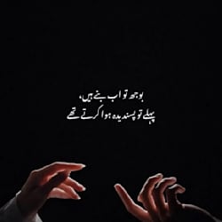 hafeezshah724