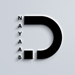 laraib_graphic1
