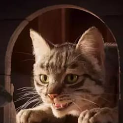 otiboder