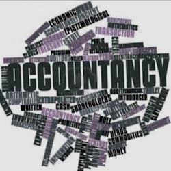 theaccountsguy1