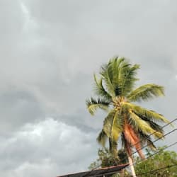 abiyasalomon_1