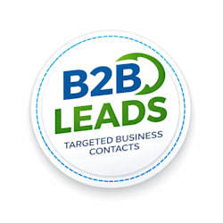 ms_b2bleads