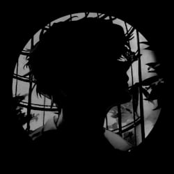 shadow_030