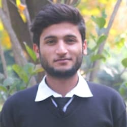 alirauf001