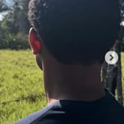 pedro_lizard