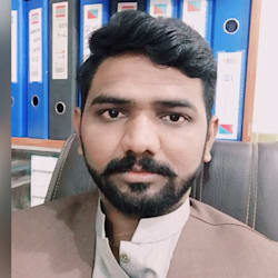 wordpress_flu