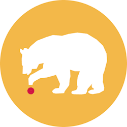 bear_tech