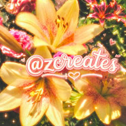 zcreatesdigital