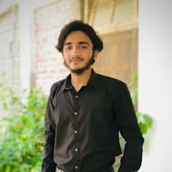 dameermalik