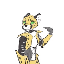 cheety