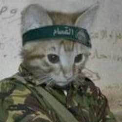 joe_almasri