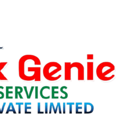 tekgenieservice