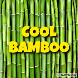 coolbamboo47