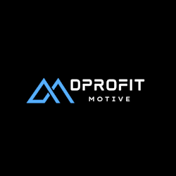 dprofitmotive1
