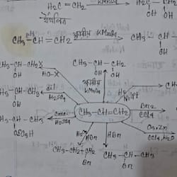 sadia2331
