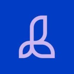 lorettabra
