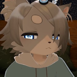 kakitashiya