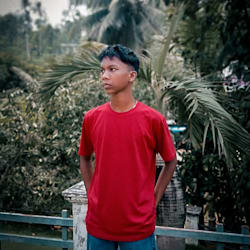nikkodin_toppo