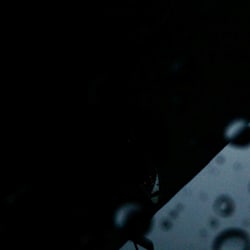 sh_timeless