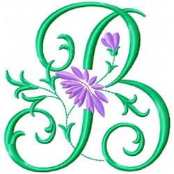 umair_digitizer