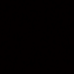 stephenexpert