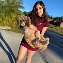 stancutedogs
