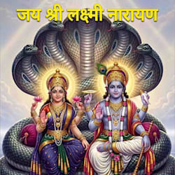 manojsaini968