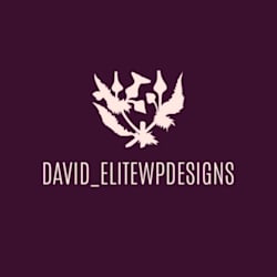 david_elitewp