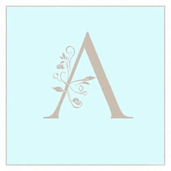 amelieservices