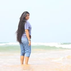 windyk