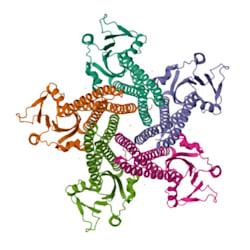 biodatamaster