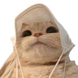 aezdek_