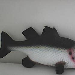 pokesella