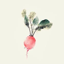 shirleyandesign