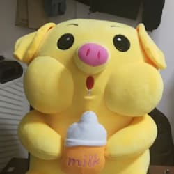 syakanncyou