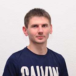 vladimironische