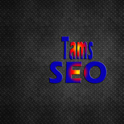 tams_seo