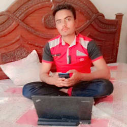 malikshahzai379