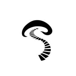 animushroom