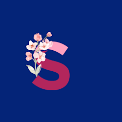 sophie_studio81
