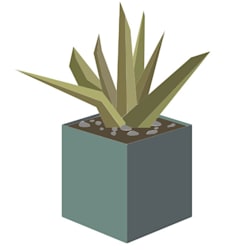 nuggstillplays